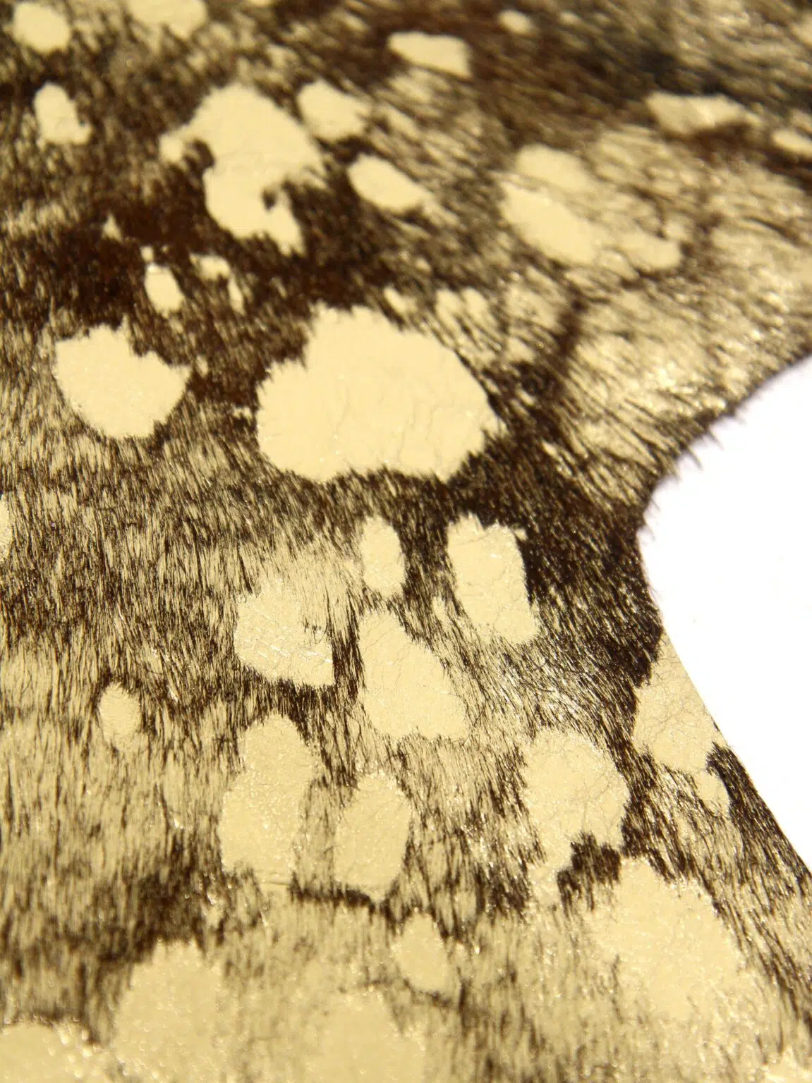 SN11543 _Cowhide - Metallic Gold on Brown_event_prop_hire_EPH_Creative_9 (1)_optimised