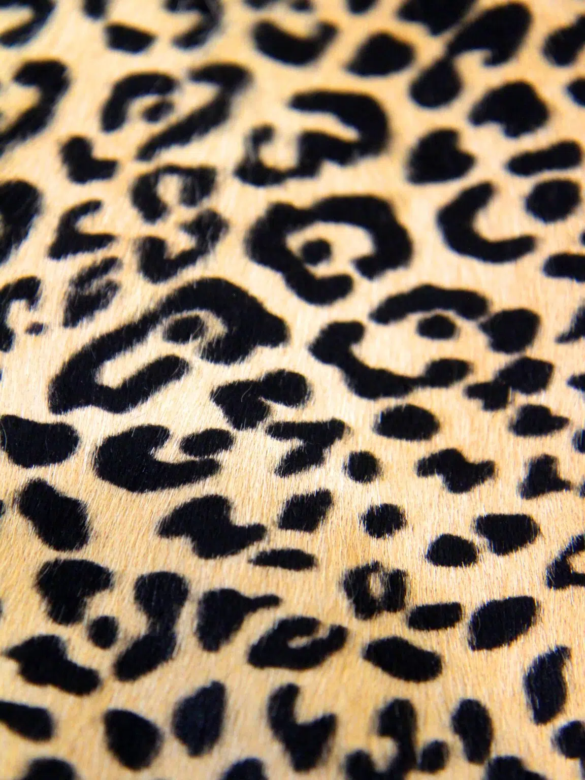 SN11598 _Cowhide - Leopard Print_event_prop_hire_EPH_Creative_3_optimised