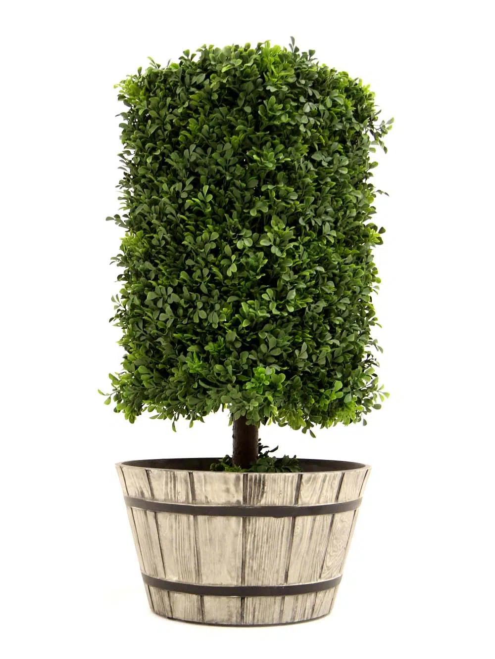 SN12077 _Topiary Boxwood Square_event_prop_hire_EPH_Creative_017_optimised