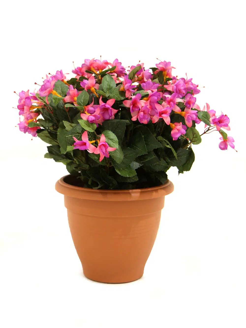 SN12116_Potted Fuchsia - 55cm_event_prop_hire_EPH_Creative_177_optimised