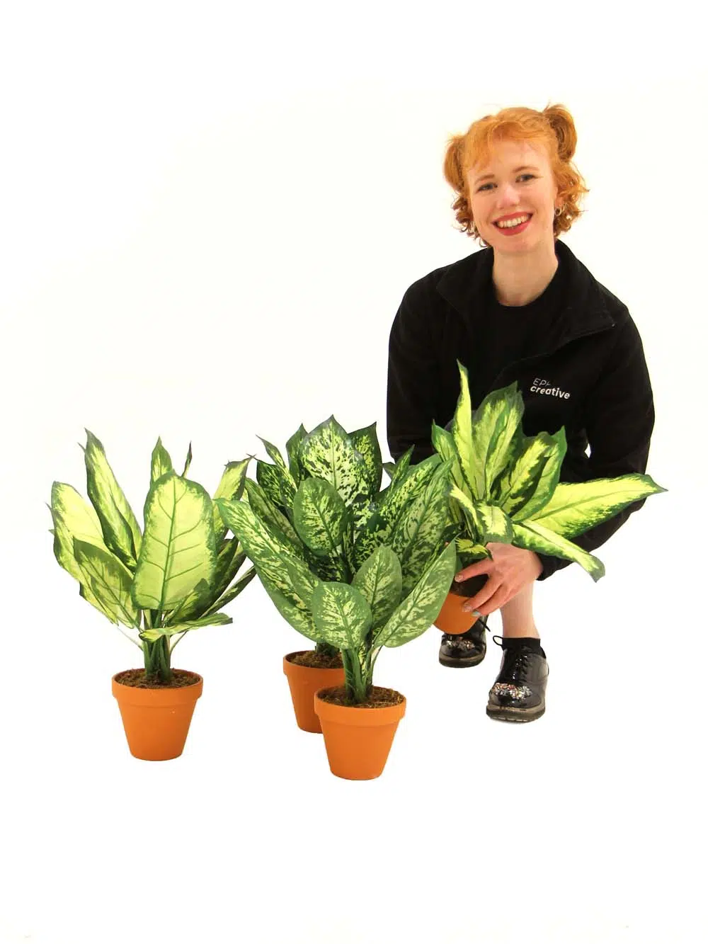 SN12179_Green_White Dieffenbachia - 52cm - Set of 4_event_prop_hire_EPH_Creative_137_optimised