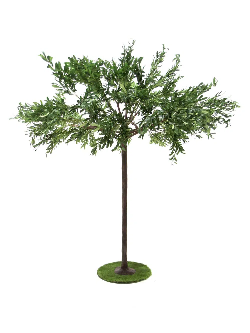 SN11284 _Umbrella Table Top Tree - Ruscus_event_prop_hire_EPH_Creative_3_optimised