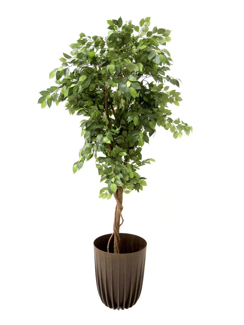 SN11529 _Eco Coffee Planter 39cm - Brown_event_prop_hire_EPH_Creative_5__optimised