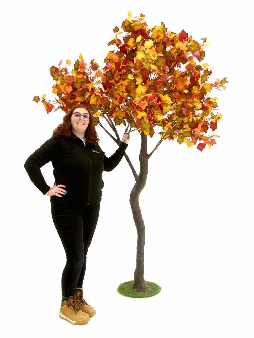 SN11316_Y-Shaped Tree (2.7m) - Autumn Foliage__06942. optimised