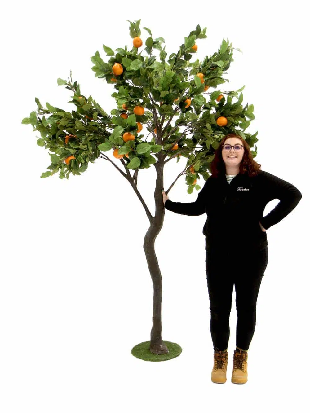 SN11329_Y-Shaped Tree (2.7m) - Orange__07021. optimised