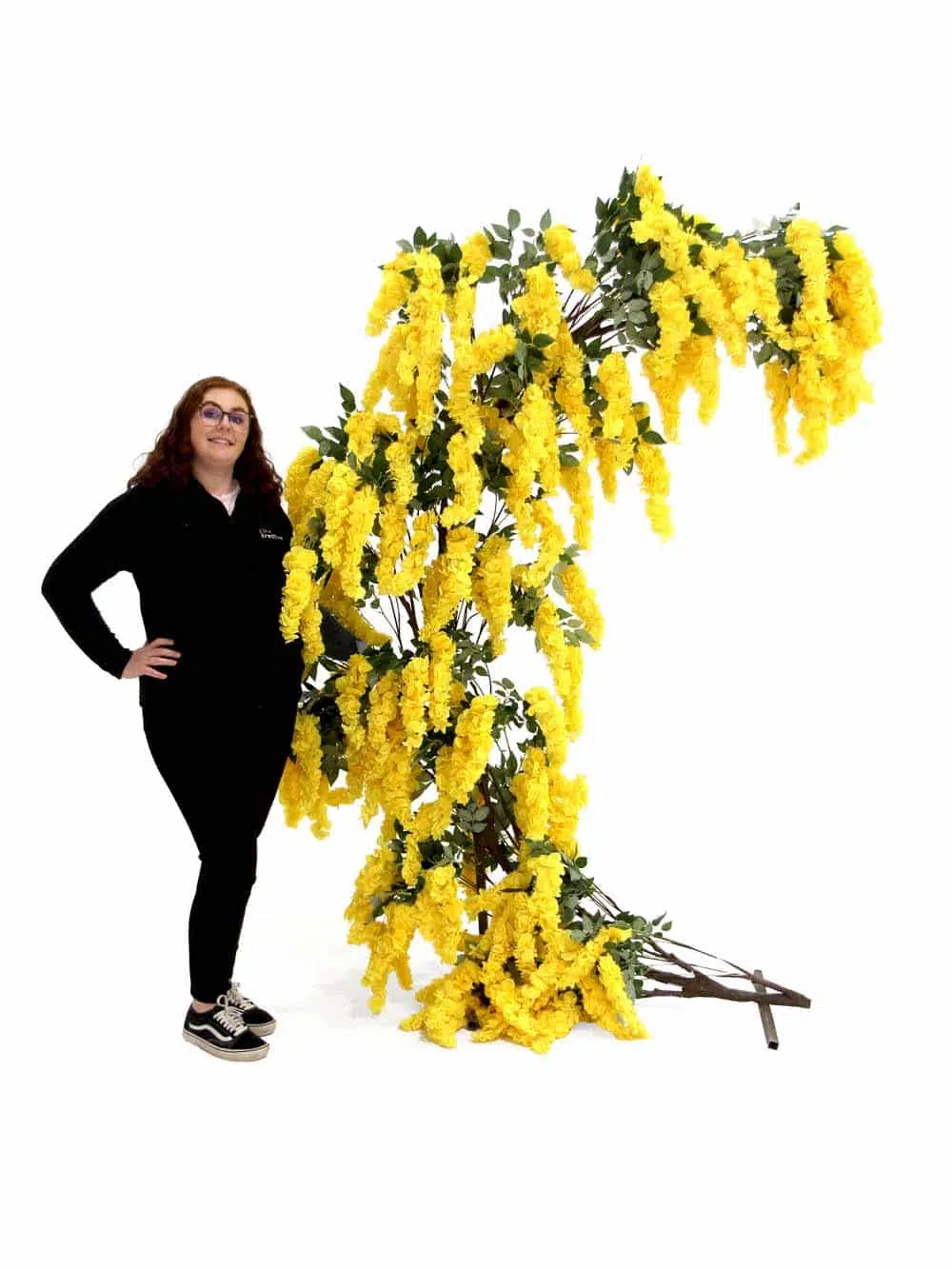 SN11601 _Half Moon Gate - Yellow Wisteria_event_prop_hire_EPH_Creative_0