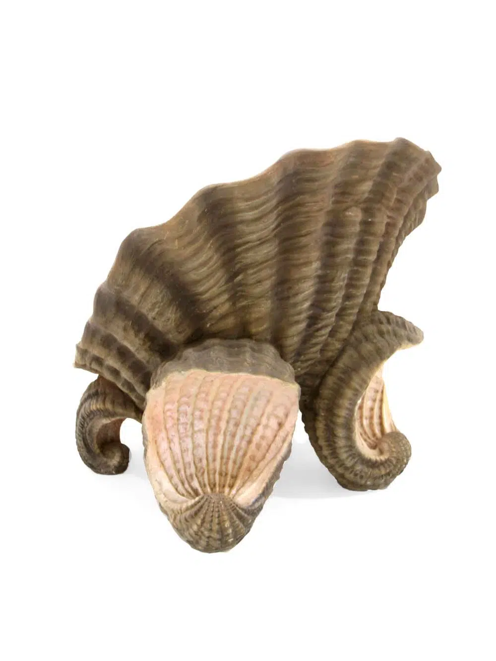 SN11695_Shell Chair_event_prop_hire_EPH_Creative_586