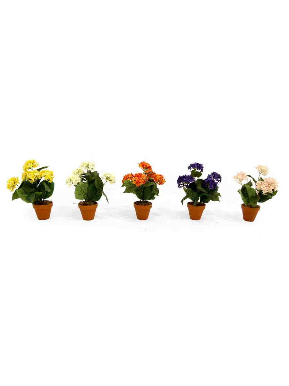 SN12103 _Snowball Bush (Colour May Vary)_event_prop_hire_EPH_Creative_078