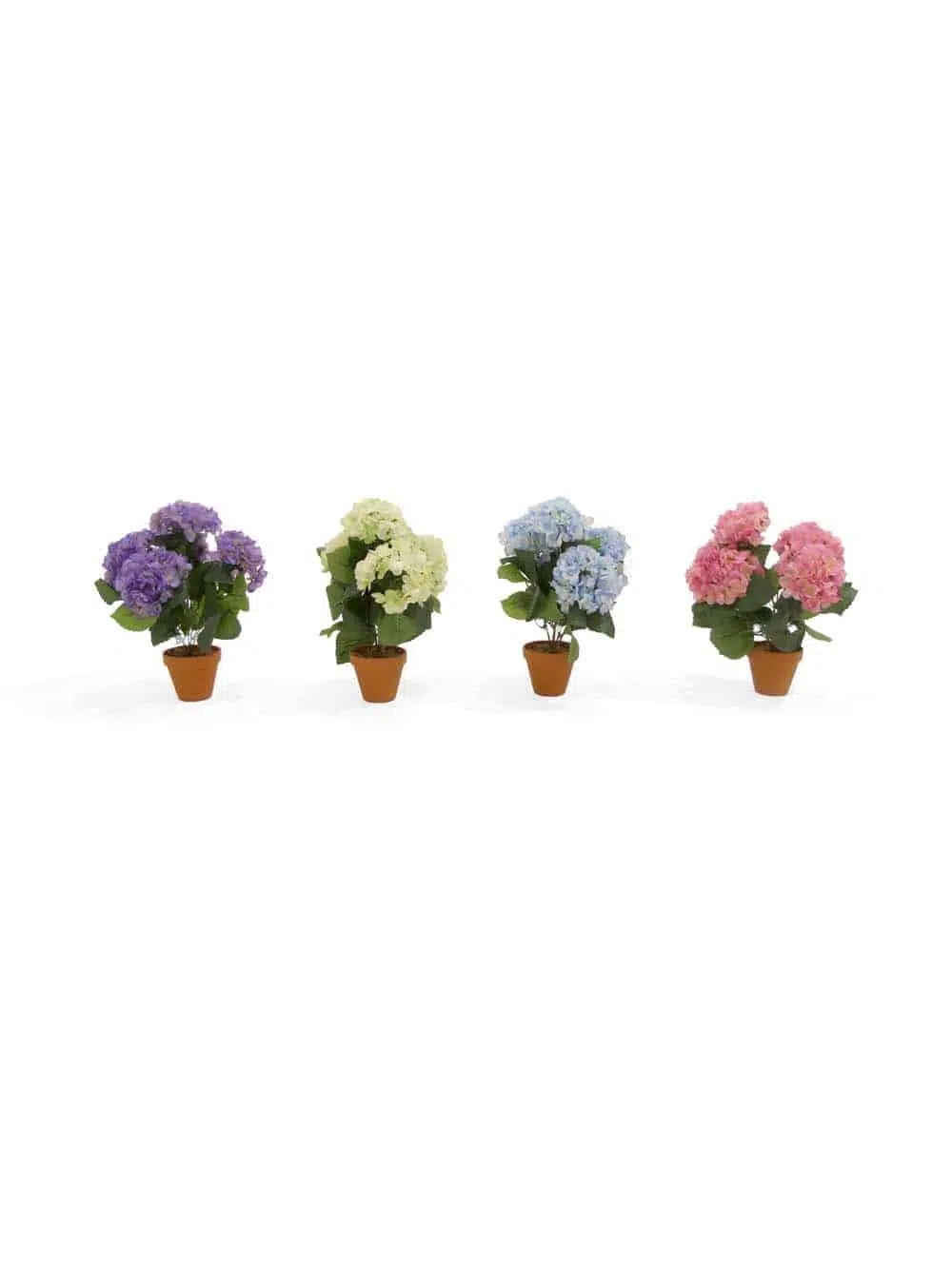 SN12234_Potted Hydrangea Bush - Assorted Colours - Set of 4_event_prop_hire_EPH_Creative_102_High Res