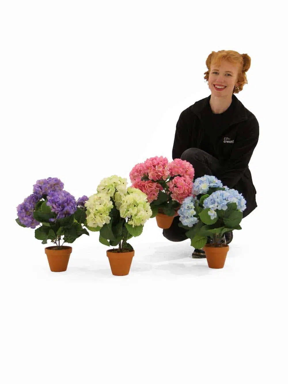 SN12234_Potted Hydrangea Bush - Assorted Colours - Set of 4_event_prop_hire_EPH_Creative_108_High Res