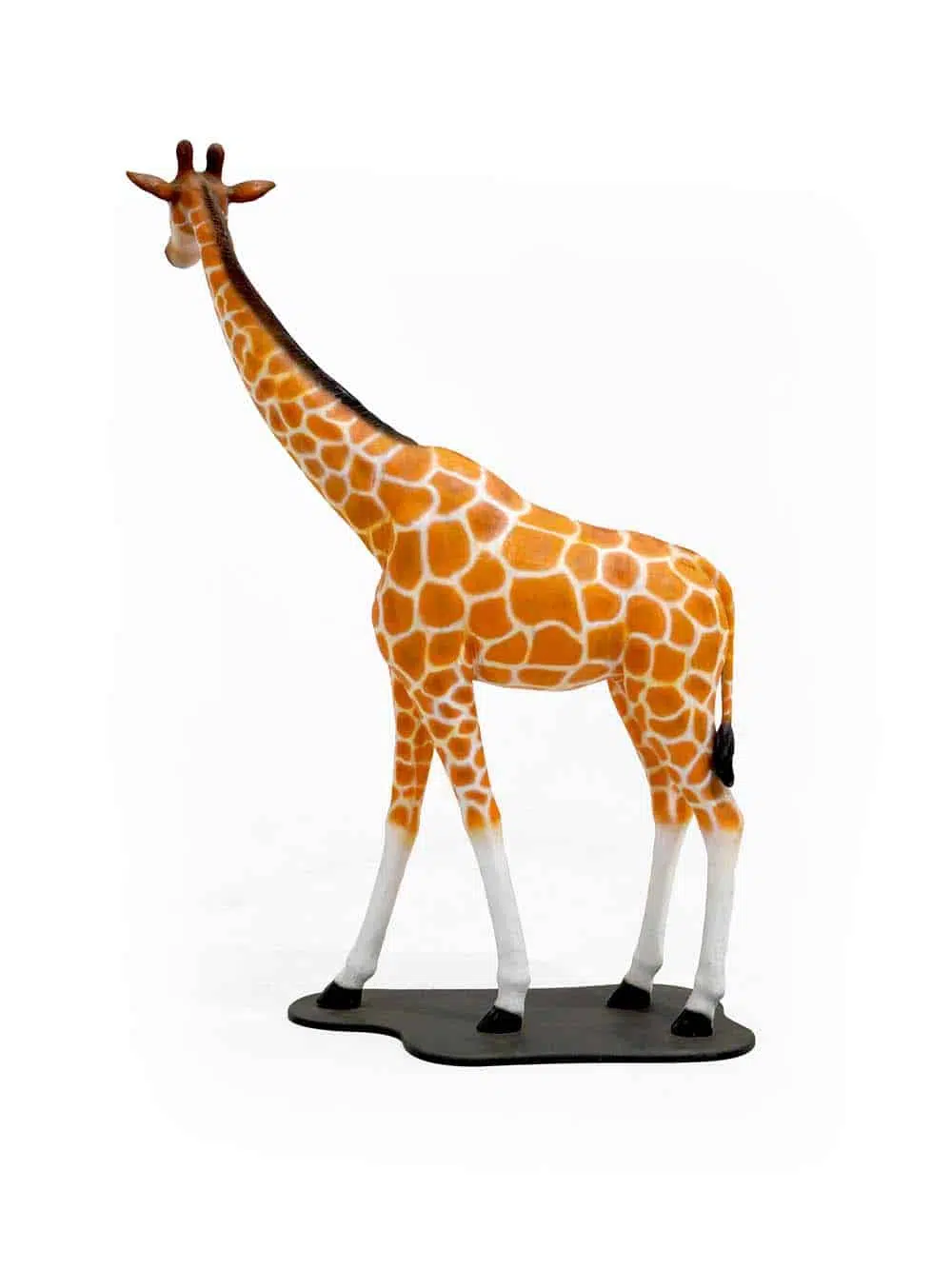 SN11696_Giraffe - 2. (11). _optimised
