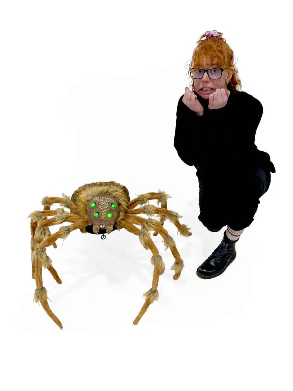 SN13380 _Giant Light Up Spider-event_prop_hire_EPH_Creative_721_1