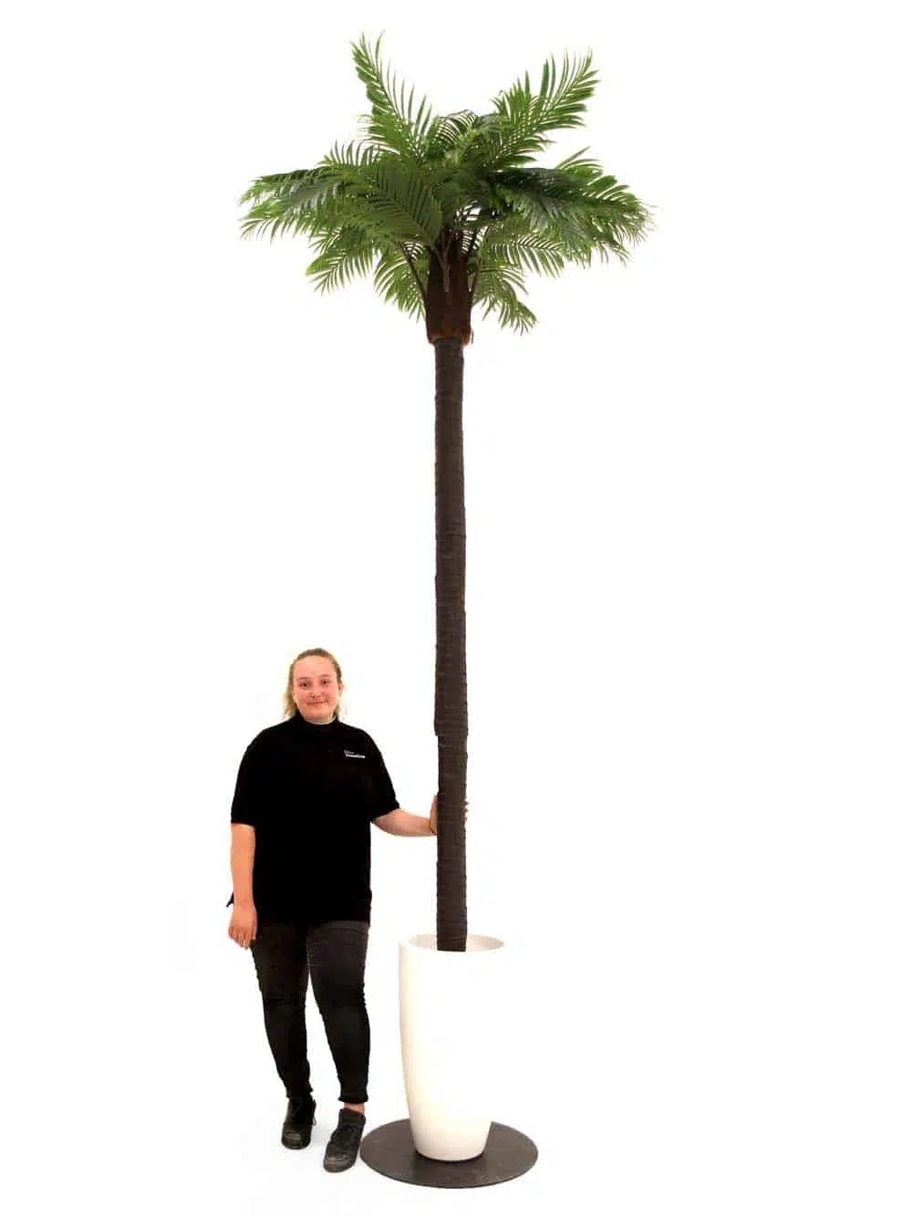 SN6955 _Tall Palm Tree (3.2m) with White Container_event_prop_hire_EPH_Creative_2_optimised