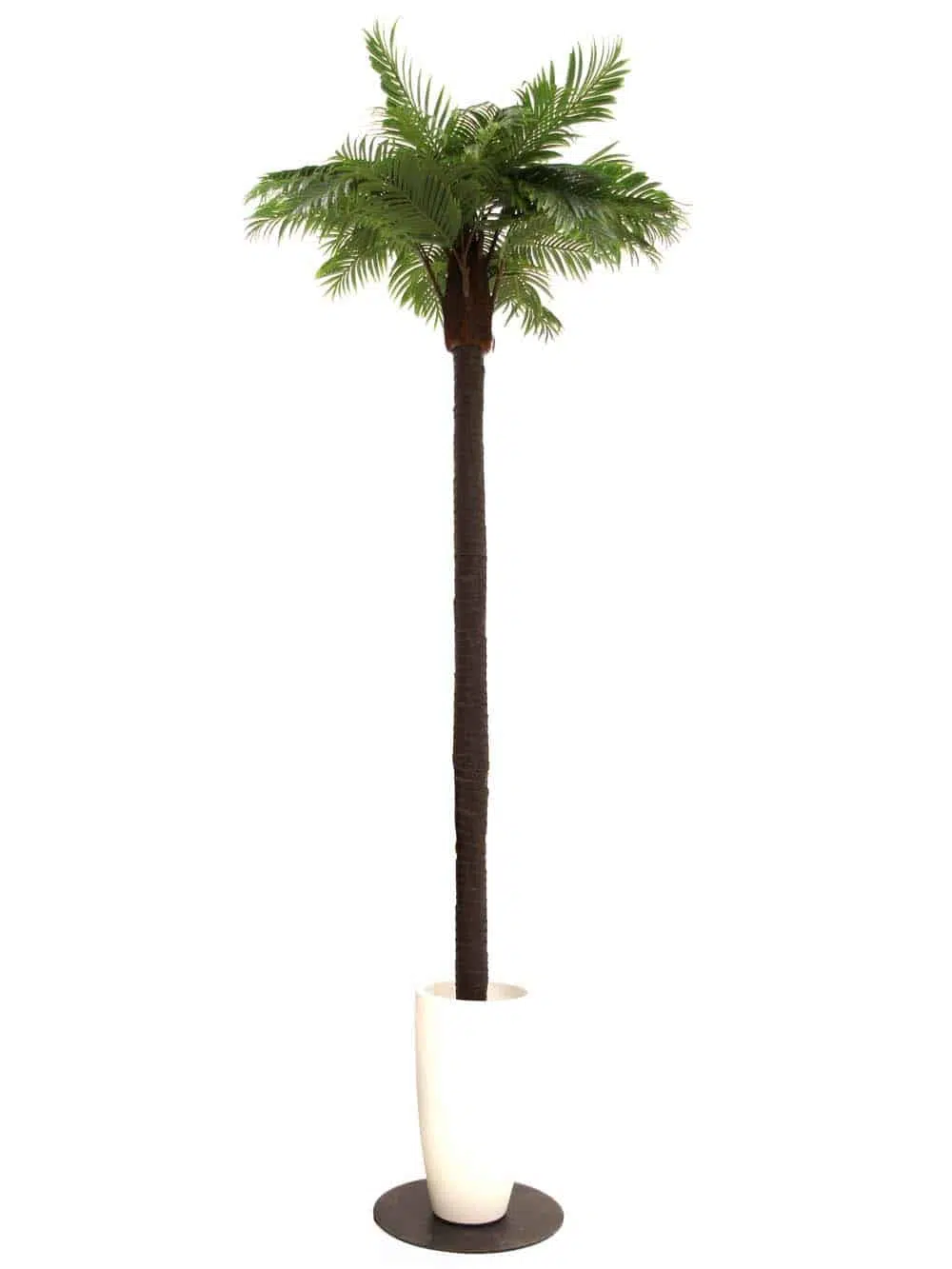 SN6955 _Tall Palm Tree (3.2m) with White Container_event_prop_hire_EPH_Creative_6_optimised