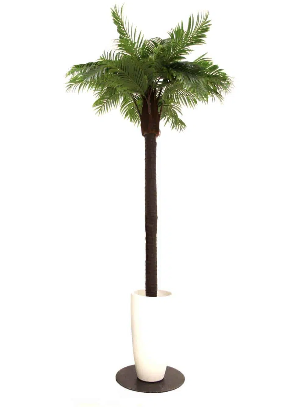 SN6956_Medium Palm Tree (2.5m) with White Container_event_prop_hire_EPH_Creative_3_optimised