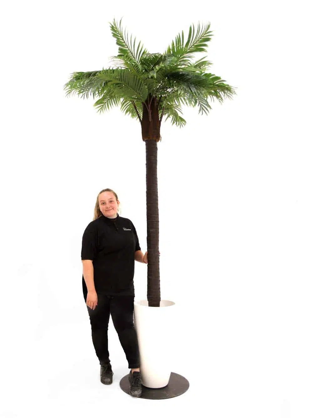 SN6956_Medium Palm Tree (2.5m) with White Container_event_prop_hire_EPH_Creative_8_optimised