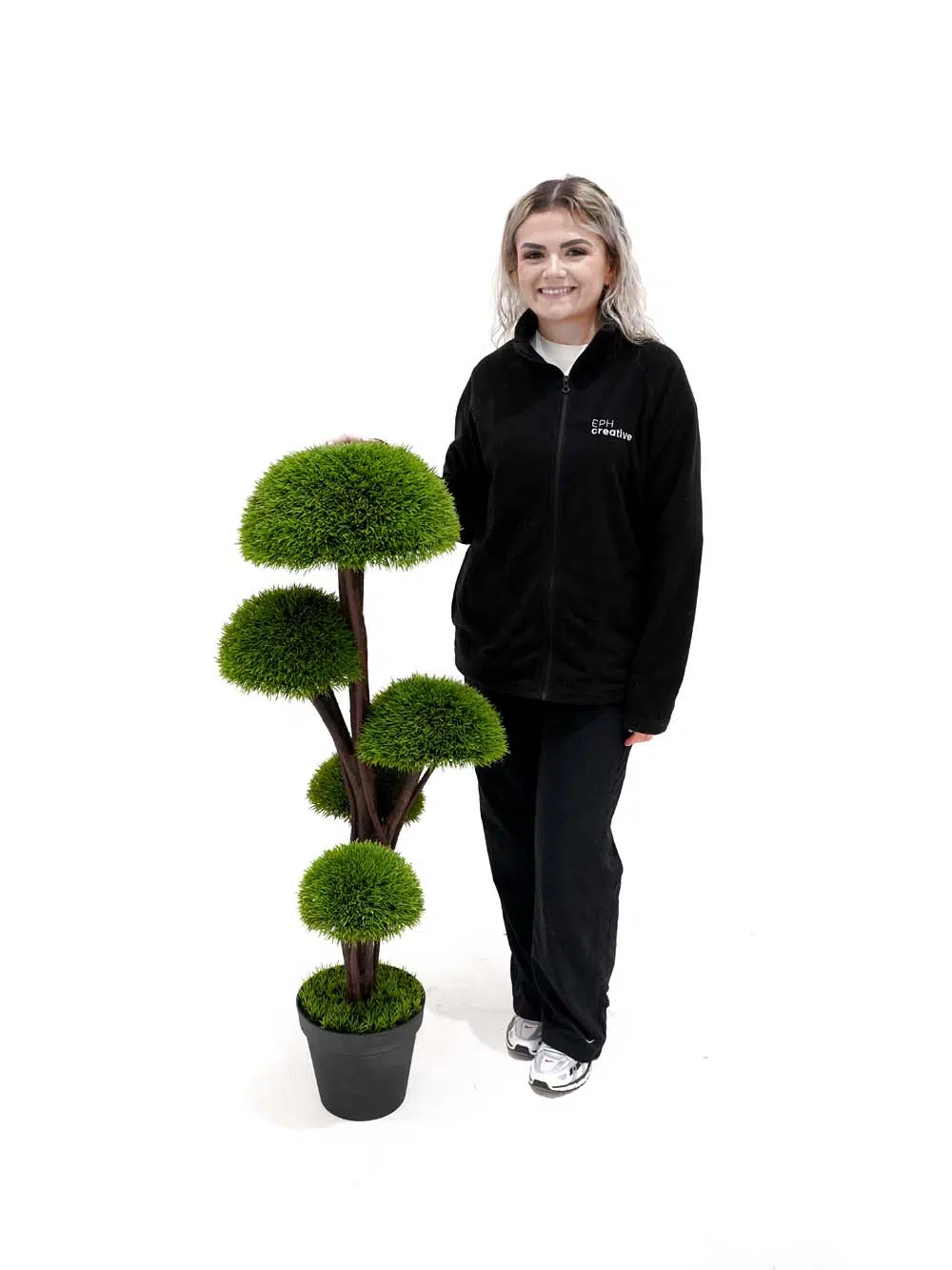 SN13735 _Mushroom Topiary Tree - 1. (1) _optimised