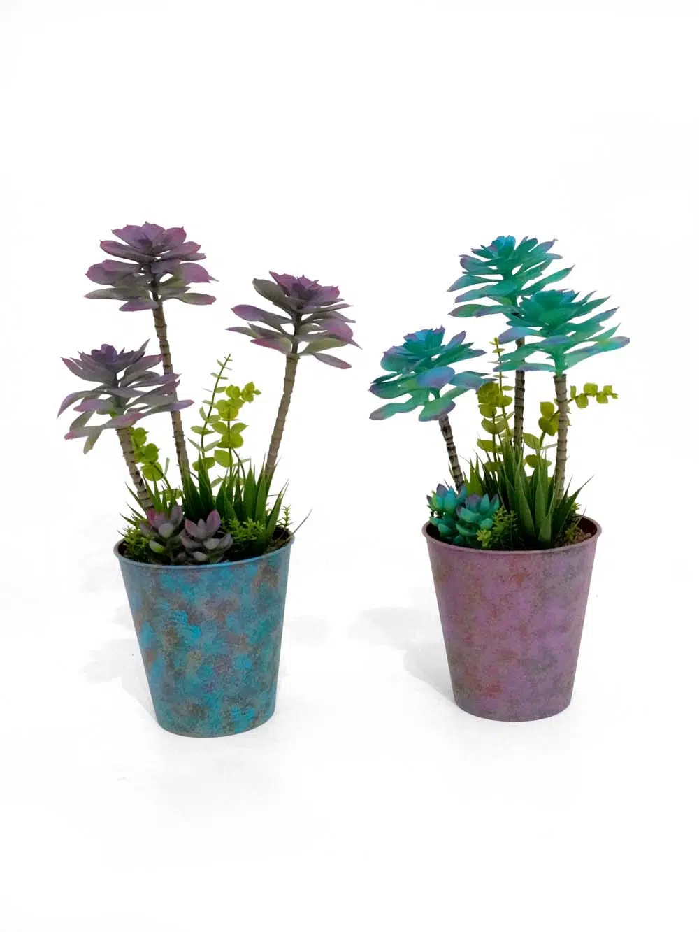 SN13740 _Succulent - Assorted Colours - Set of 2_event_prop_hire_EPH_Creative_011 _optimised