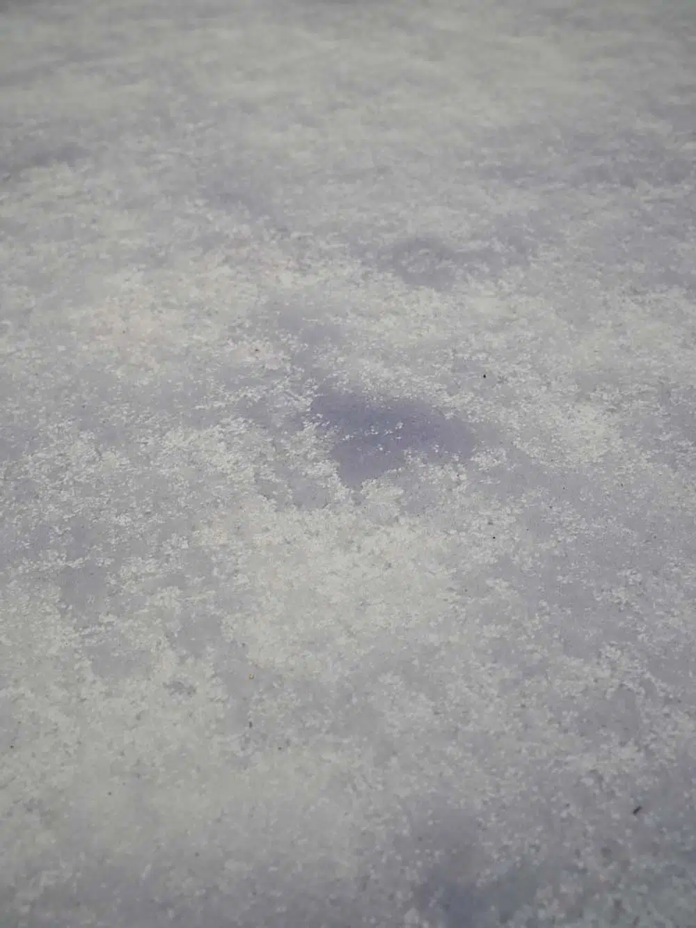 SN13468 _Floor Mat - 1.5m x 3m - Snow_event_prop_hire_EPH_Creative_705 _optimised