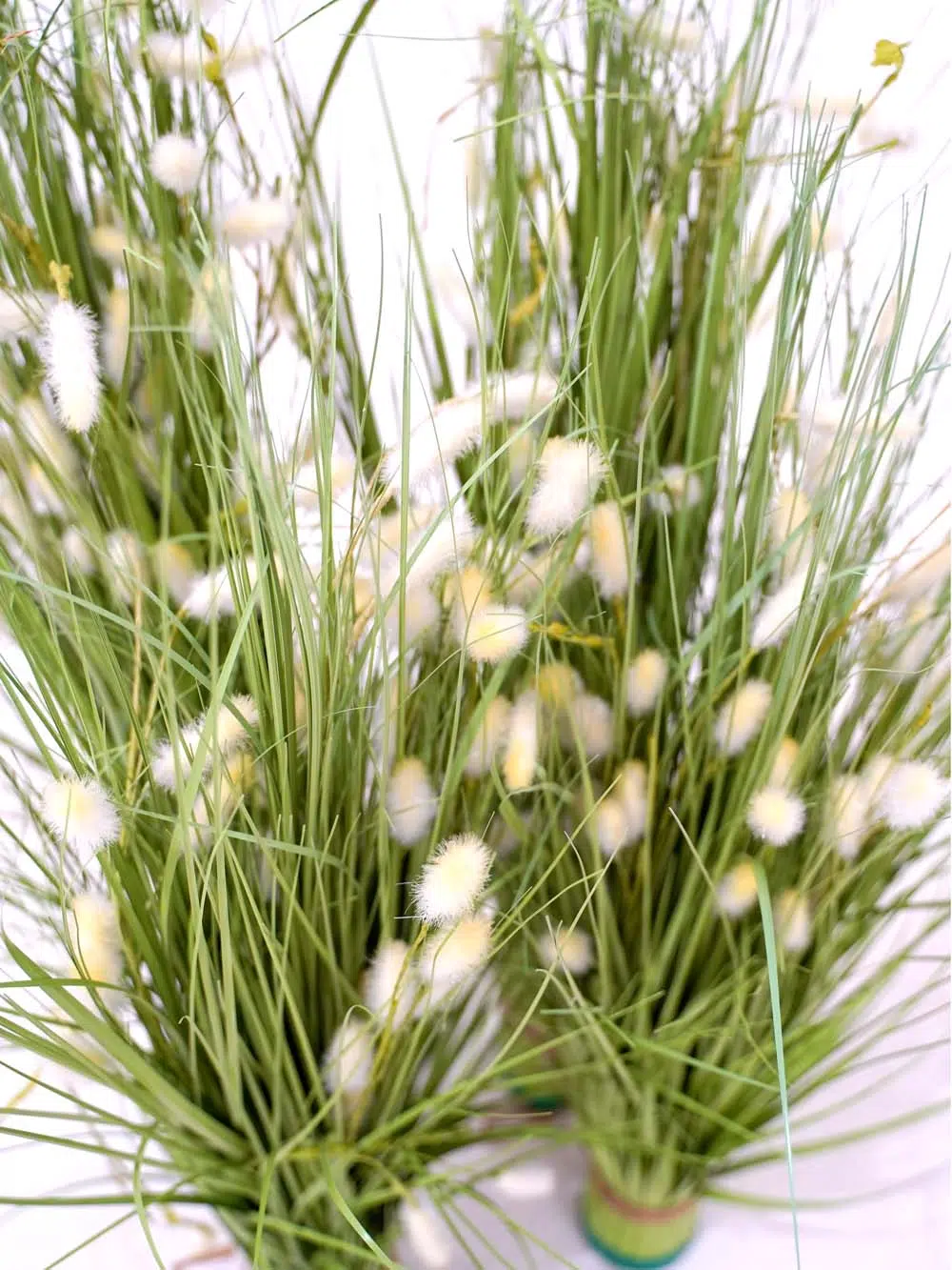 SN12285 _Bristle Grass Bundle - Medium - Set of 4_event_prop_hire_EPH_Creative_043 copy _optimised (3)