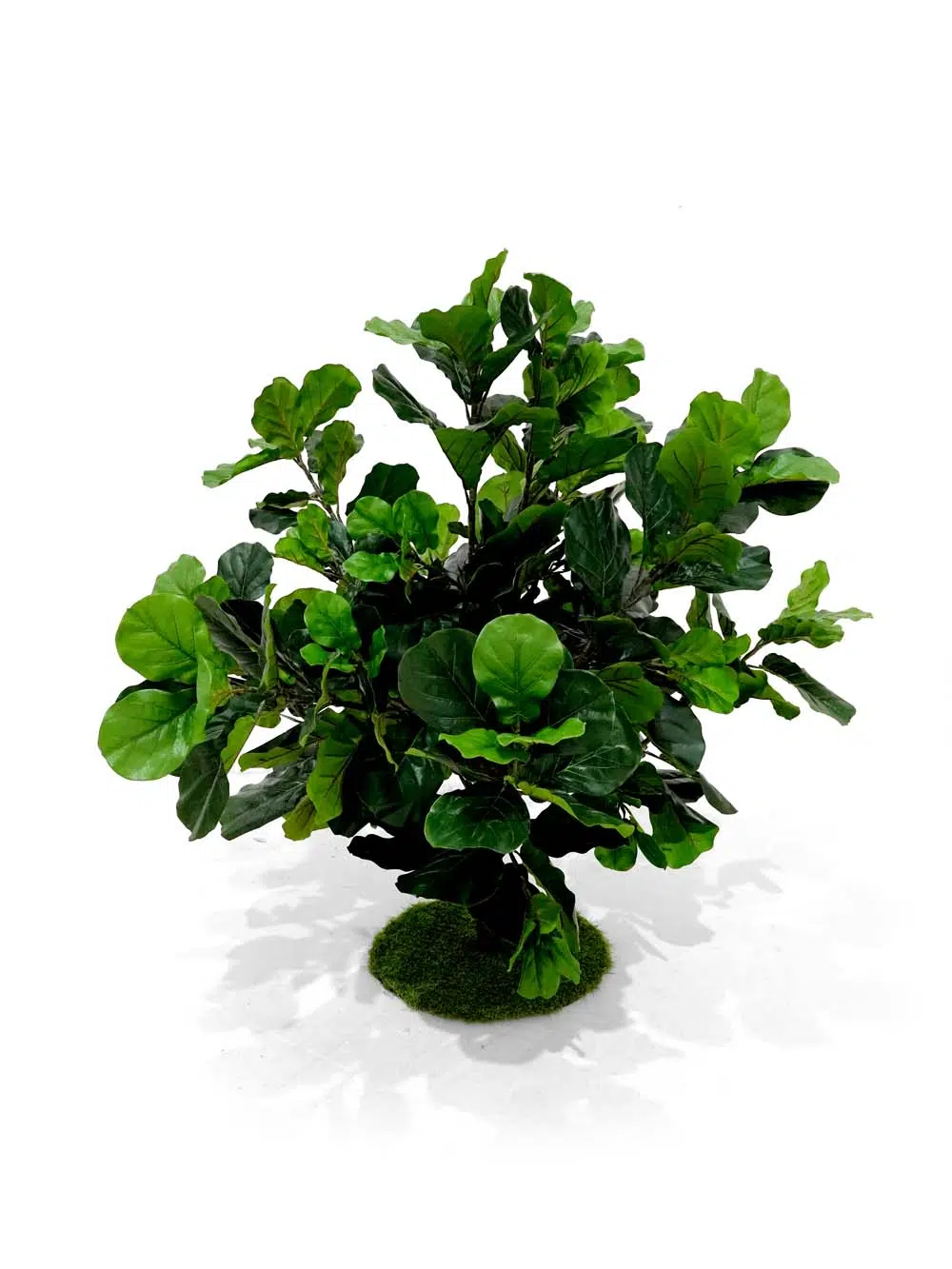 SN13790 _Interchangeable Bush - Fig_event_prop_hire_EPH_Creative_002 _optimised