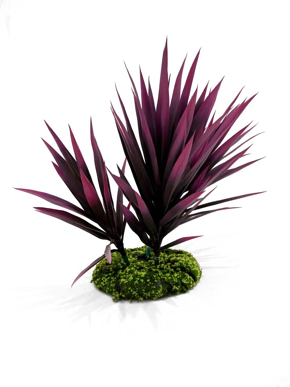 SN13811 _Yucca Plant Set_event_prop_hire_EPH_Creative_025 _optimised
