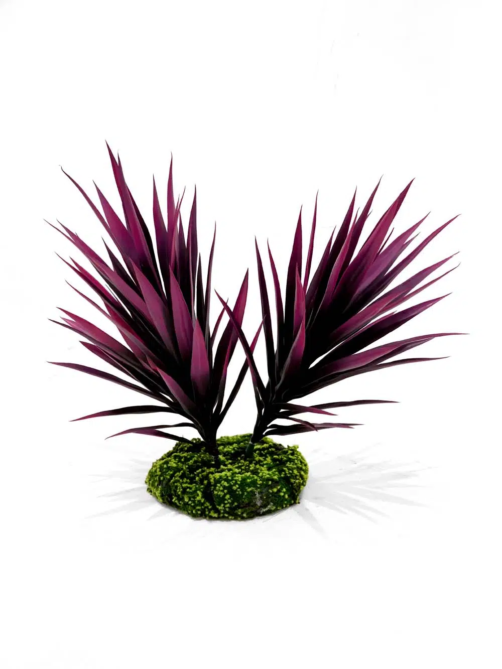 SN13811 _Yucca Plant Set_event_prop_hire_EPH_Creative_030 _optimised