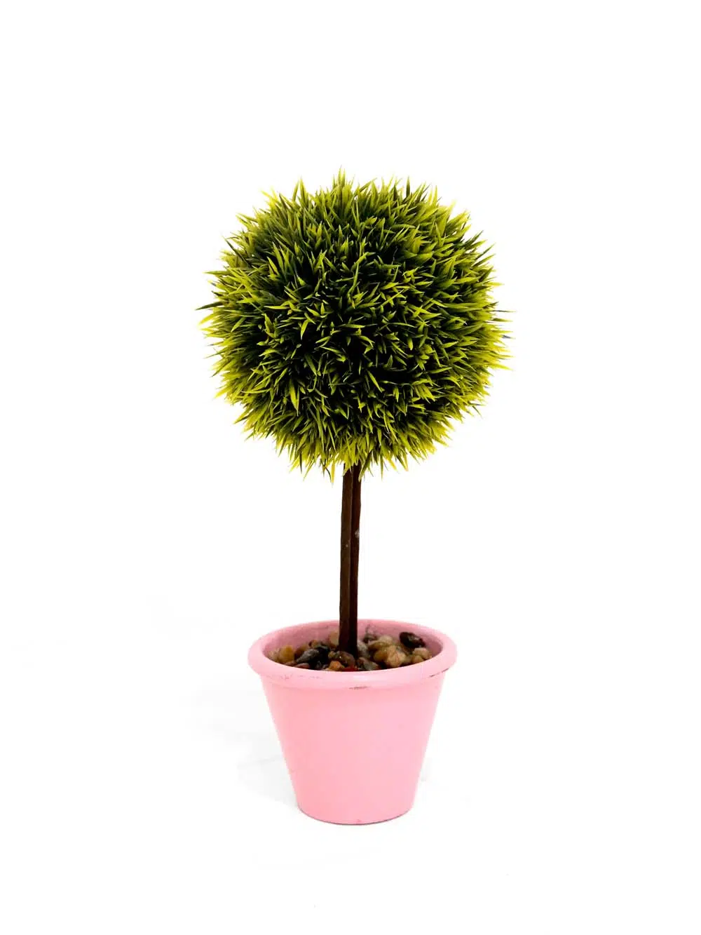 SN13892 _Potted Topiary Tree - Small_event_prop_hire_EPH_Creative_623 _optimised