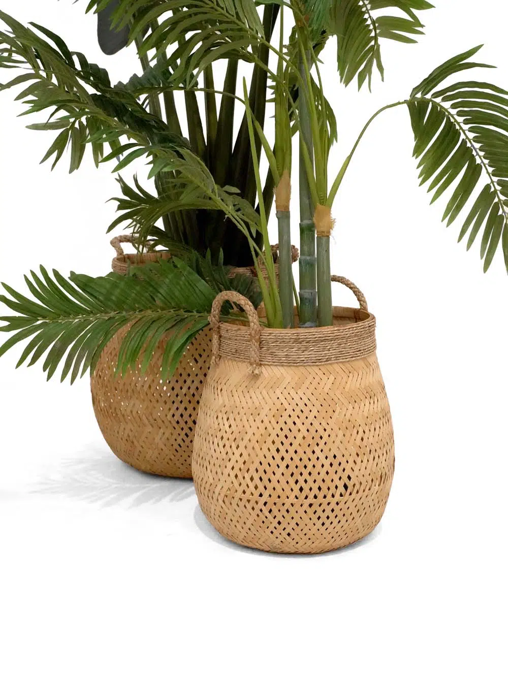 SN14076 _Beach Resort - Foliage Set_event_prop_hire_EPH_Creative_217 _optimised
