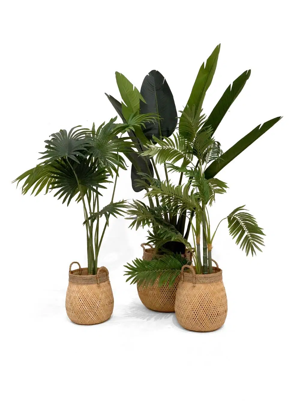 SN14076 _Beach Resort - Foliage Set_event_prop_hire_EPH_Creative_218 _optimised