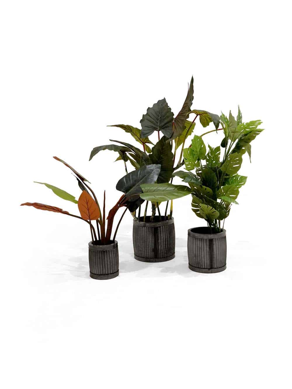 SN14079 _Beach Resort - Foliage Set #2_event_prop_hire_EPH_Creative_309 _optimised