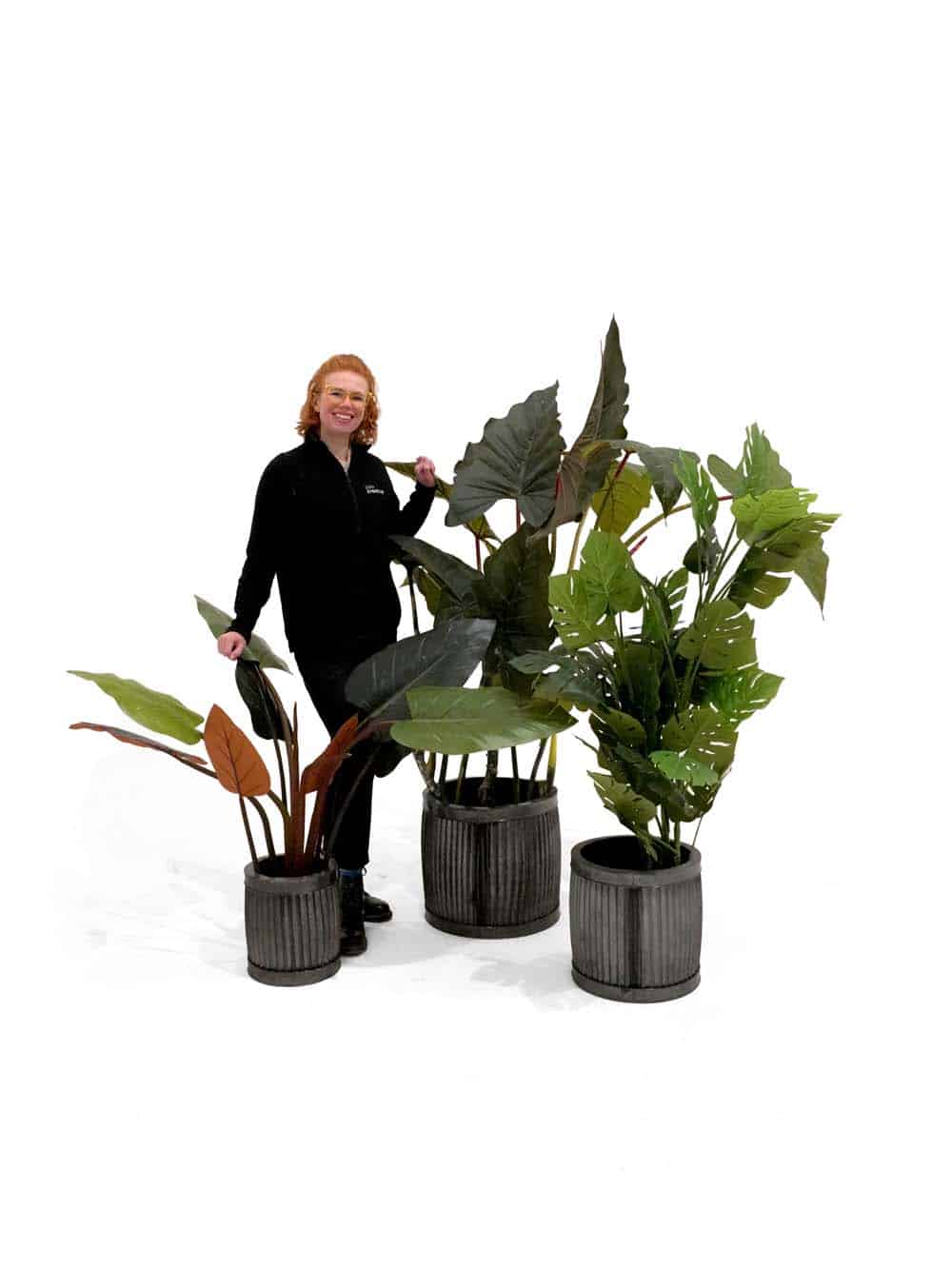 SN14079 _Beach Resort - Foliage Set #2_event_prop_hire_EPH_Creative_312 _optimised
