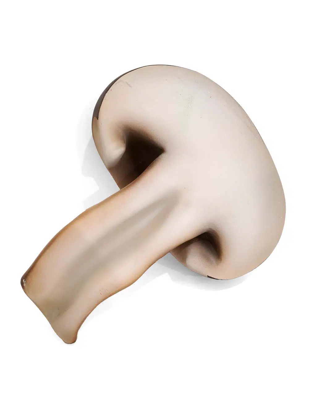 SN14111 _Giant Mushroom Slice_event_prop_hire_EPH_Creative_182 copy _optimised