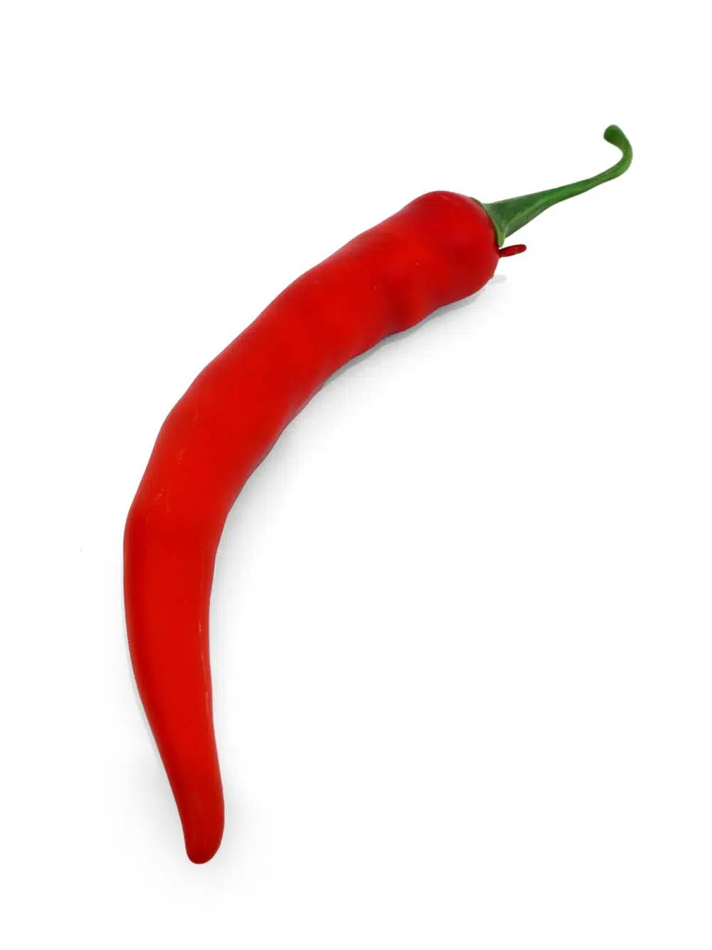 SN14116 _Giant Red Chili_event_prop_hire_EPH_Creative_206 copy _optimised