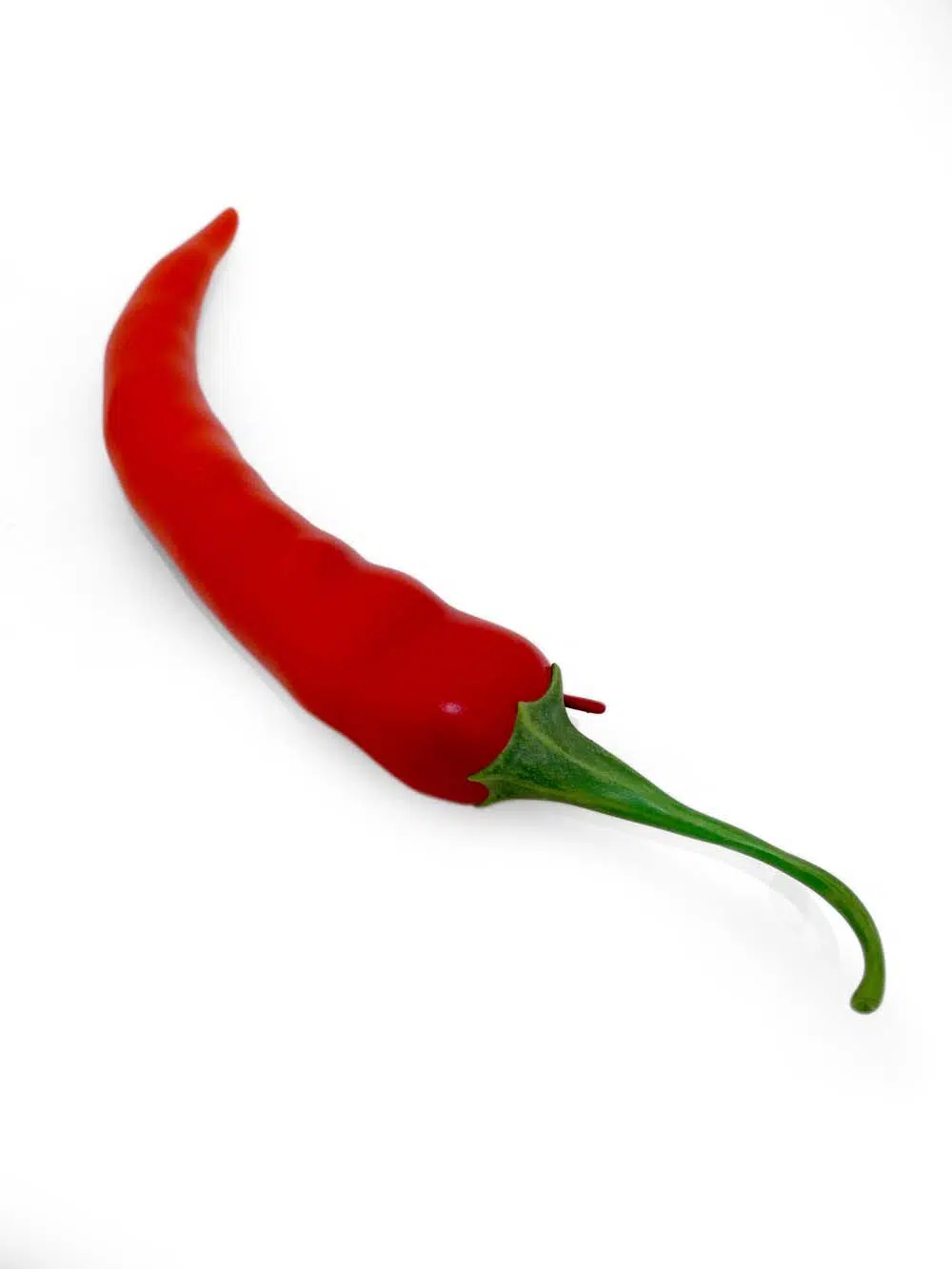 SN14116 _Giant Red Chili_event_prop_hire_EPH_Creative_208 copy _optimised