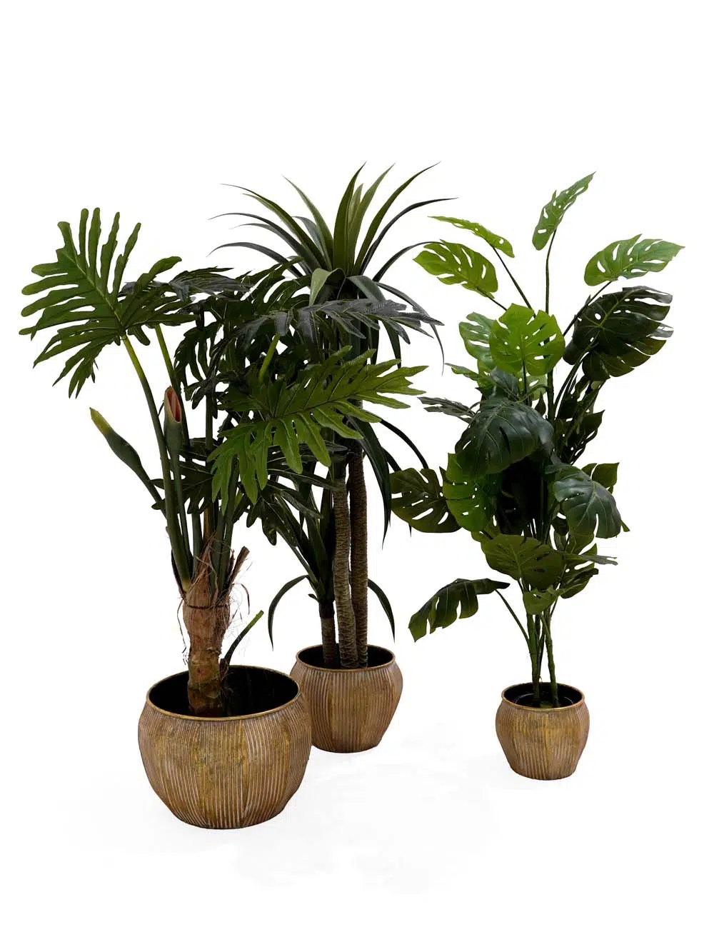 SN14248 _Tropical Beach - Foliage Set_event_prop_hire_EPH_Creative_073 copy _optimised