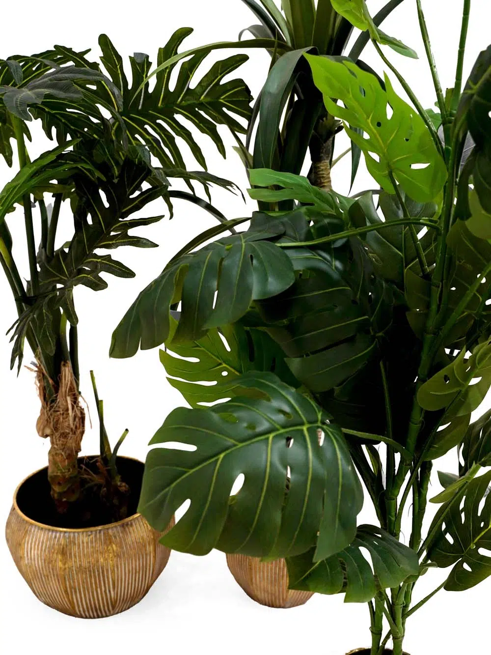 SN14248 _Tropical Beach - Foliage Set_event_prop_hire_EPH_Creative_076 copy _optimised