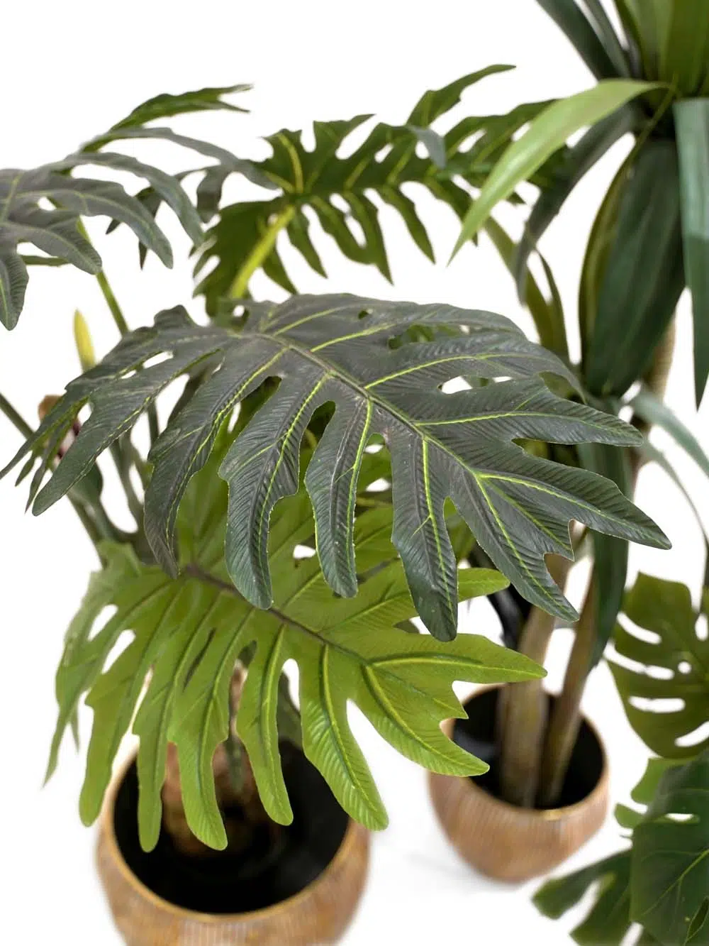 SN14248 _Tropical Beach - Foliage Set_event_prop_hire_EPH_Creative_093 copy _optimised