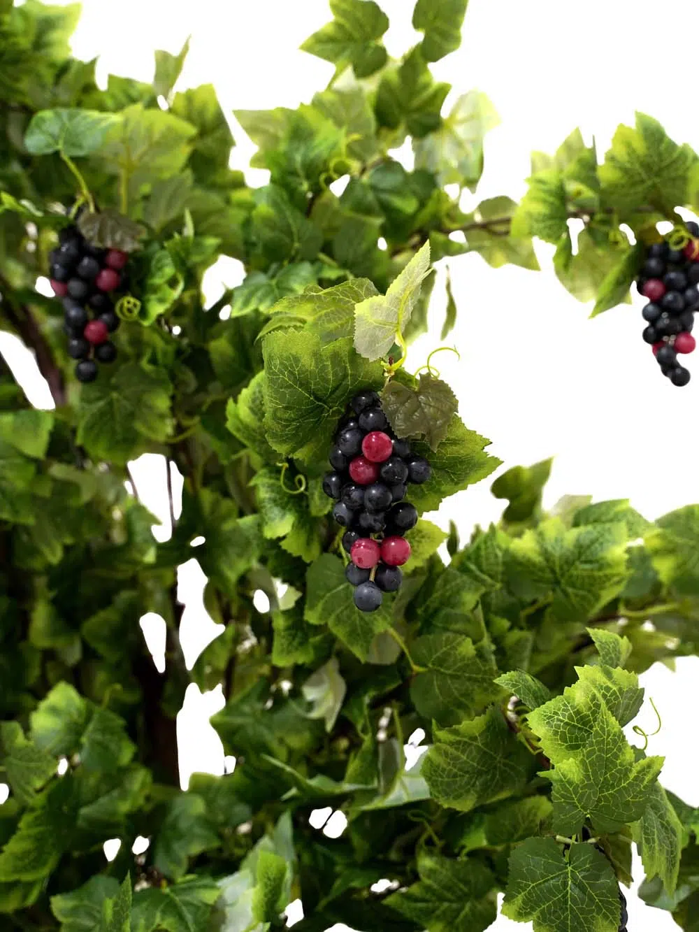 SN14268 _Moon Gate - Grape Foliage_event_prop_hire_EPH_Creative_150 copy _optimised