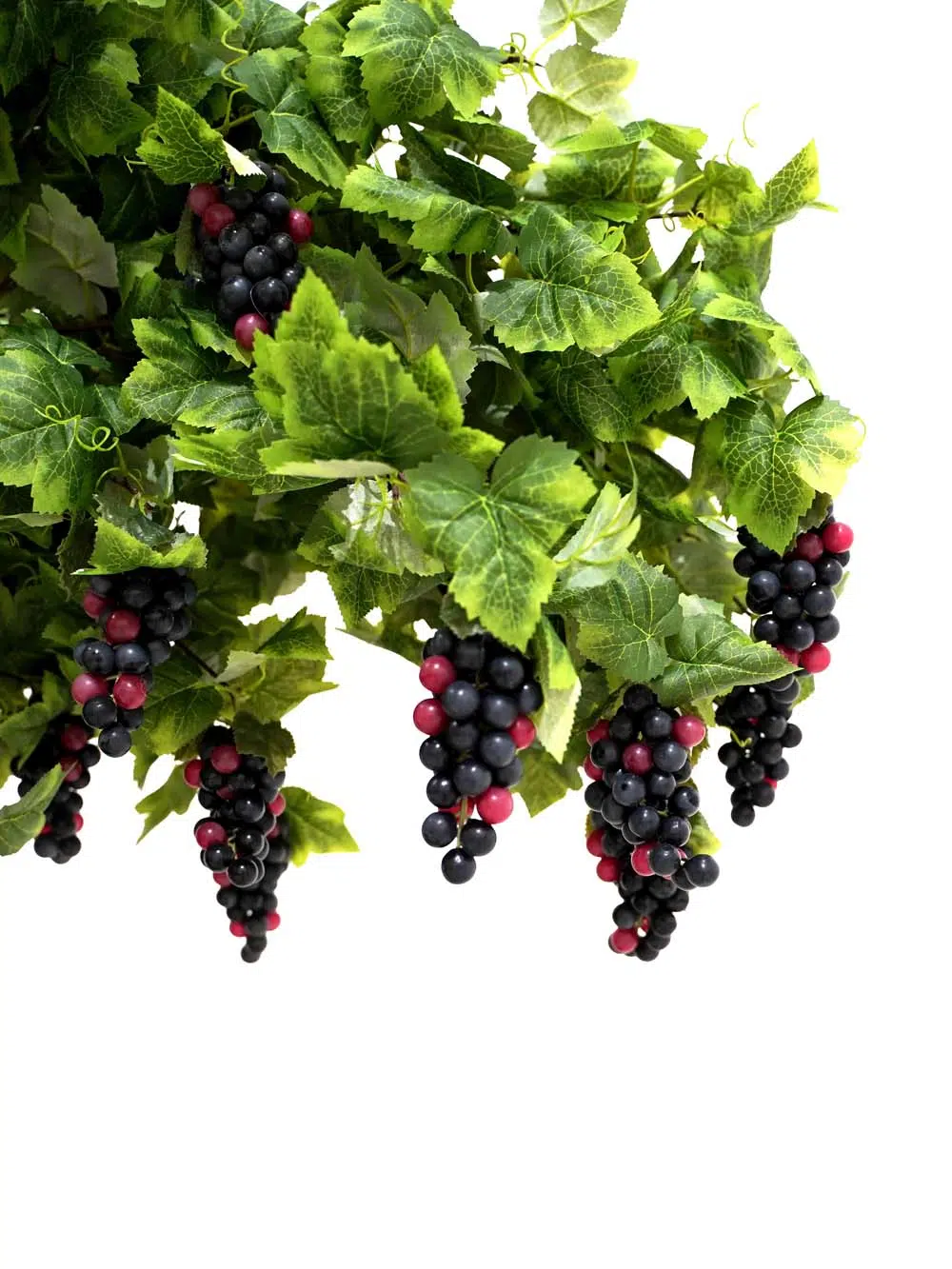 SN14269 _Half Moon Gate - Grape Foliage_event_prop_hire_EPH_Creative_158 copy _optimised