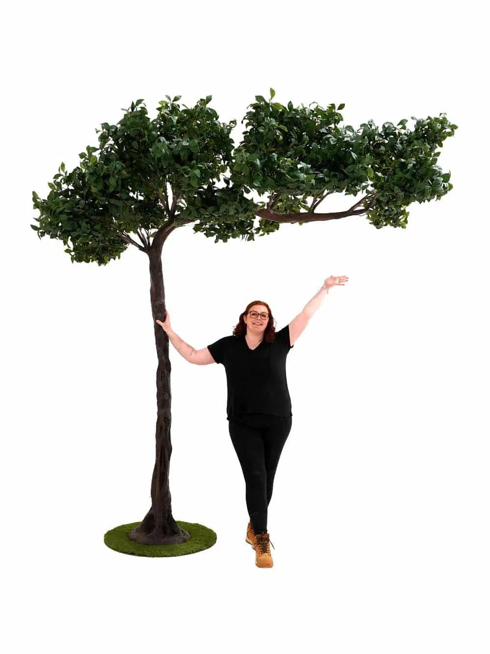 SN14274 _Canopy Tree (3m) - Bay Leaf_event_prop_hire_EPH_Creative_285 copy _optimised