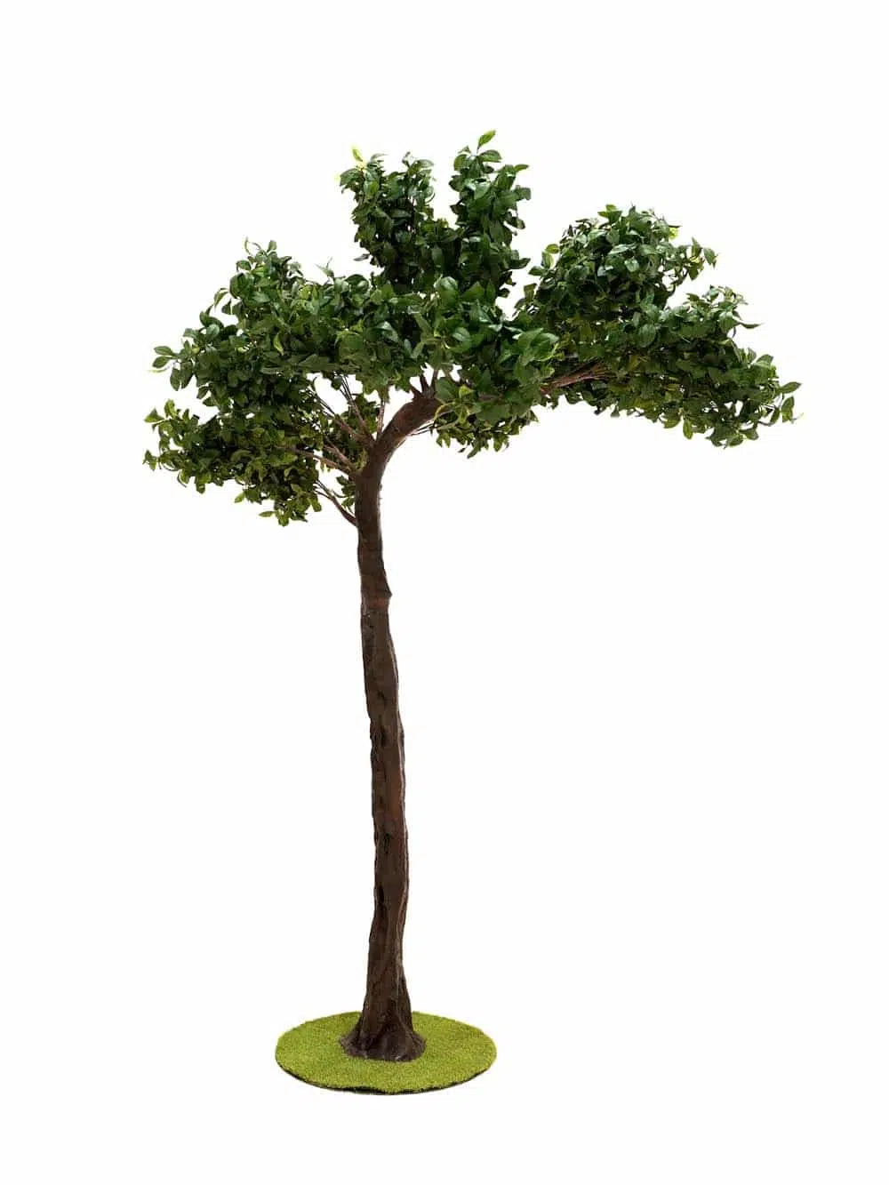 SN14277 _Half Arch Tree (3.5m) - Bay Leaf_event_prop_hire_EPH_Creative_361 copy _optimised