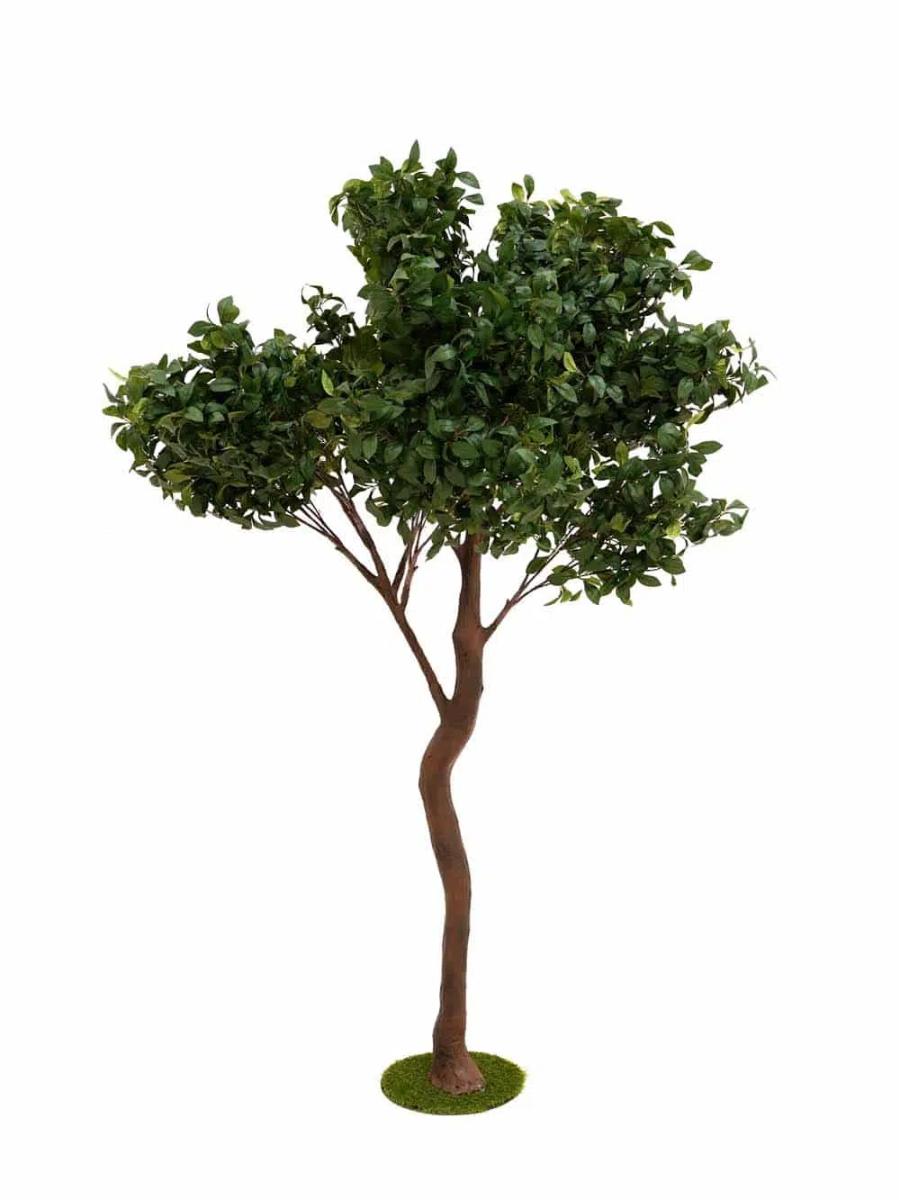 SN14282 _Y-Shaped Tree (2.7m) - Bay Leaf_event_prop_hire_EPH_Creative_220 copy _optimised