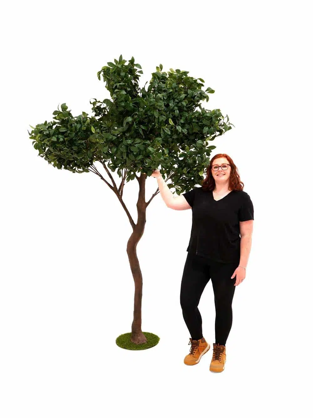 SN14282 _Y-Shaped Tree (2.7m) - Bay Leaf_event_prop_hire_EPH_Creative_230 copy _optimised