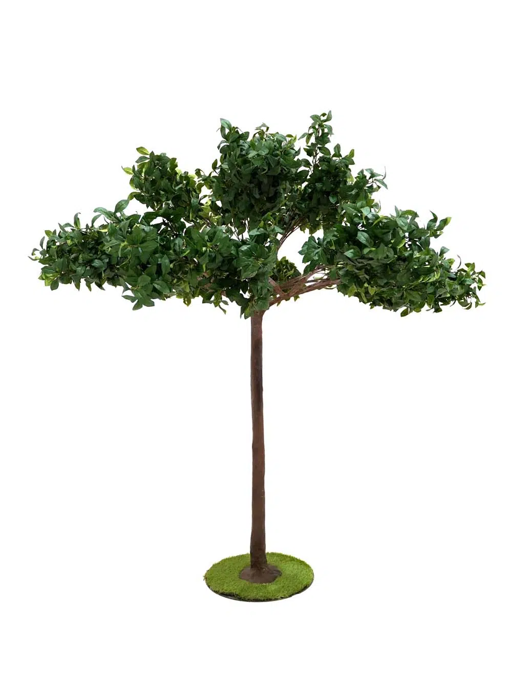 SN14283 _Umbrella Table Top Tree - Bay Leaf_event_prop_hire_EPH_Creative_241 copy _optimised