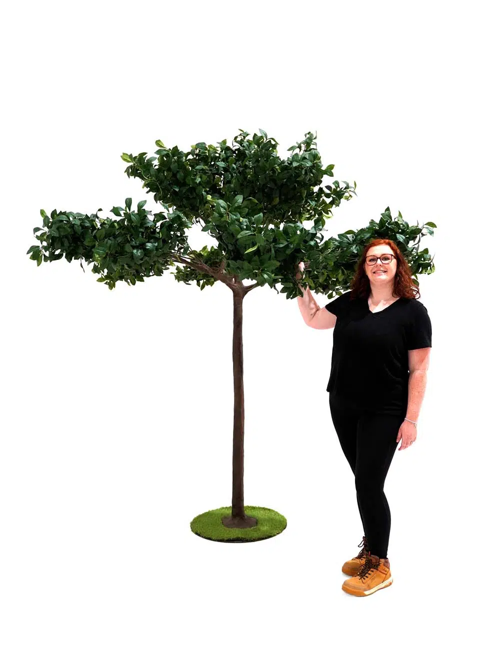 SN14283 _Umbrella Table Top Tree - Bay Leaf_event_prop_hire_EPH_Creative_248 copy _optimised