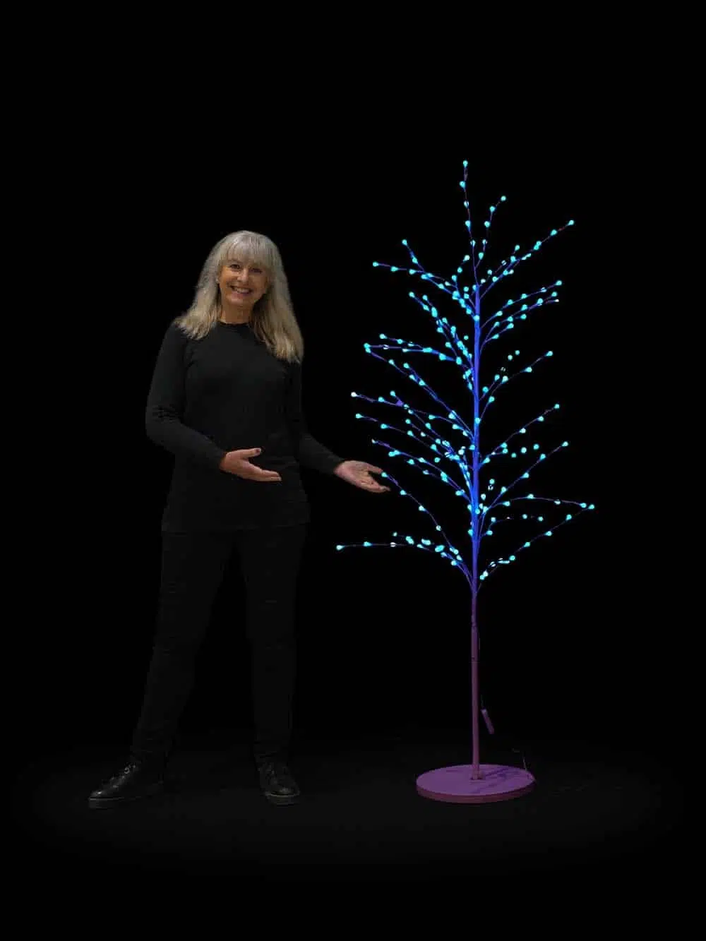 SN13682-_LED-Colour-Change-Berry-Twig-Tree-1-2-copy-_optimised