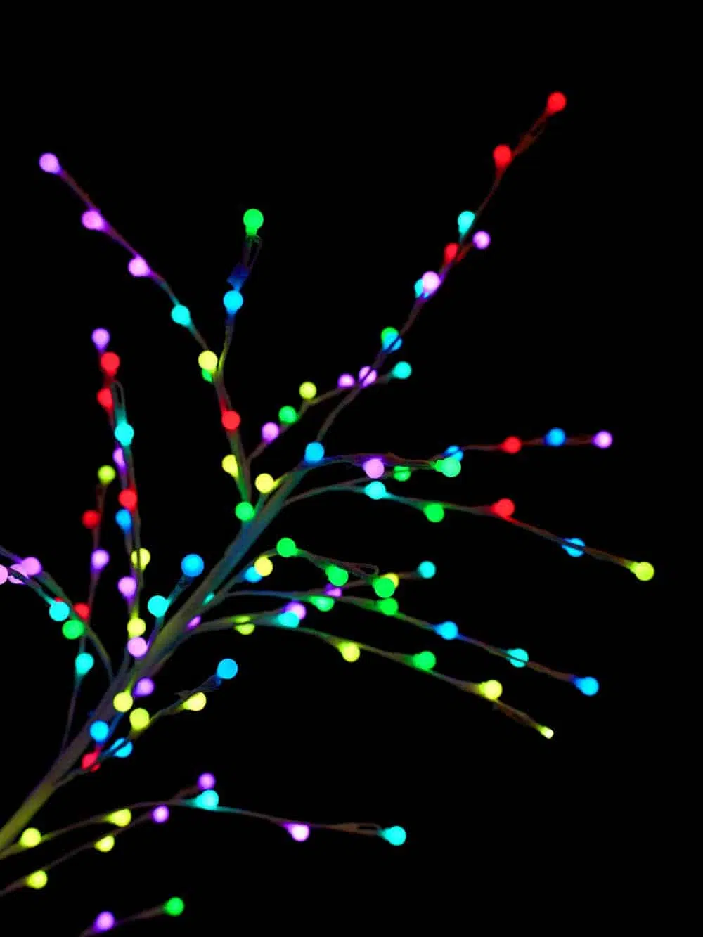 SN13682_SN13683_LED-Colour-Change-Berry-Trees_event_prop_hire_EPH_Creative_208-copy-_optimised