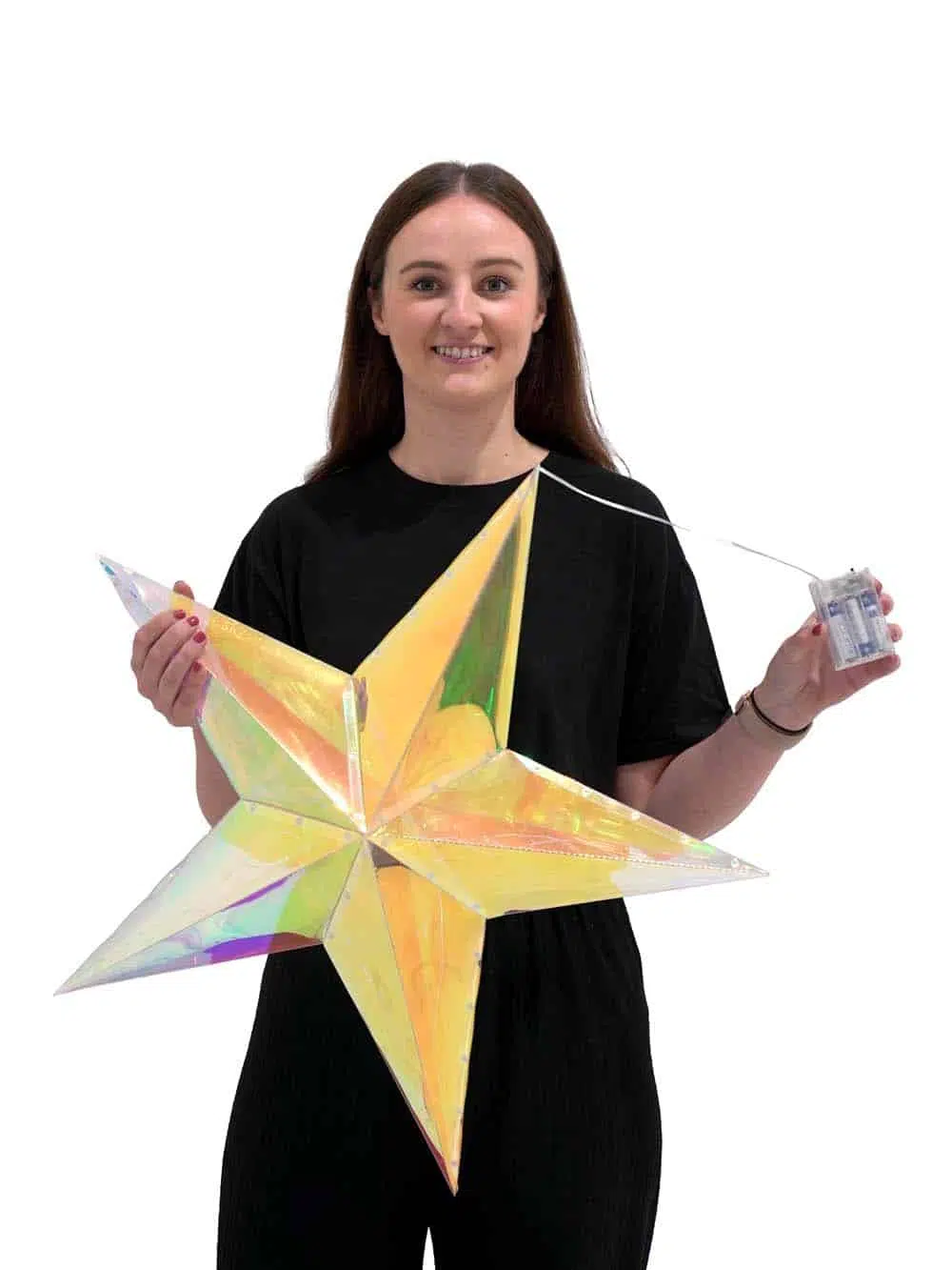 SN14002-_Iridescent-Micro-LED-Star-Cool-White-Battery-Operated_event_prop_hire_EPH_Creative_289-copy-_optimised
