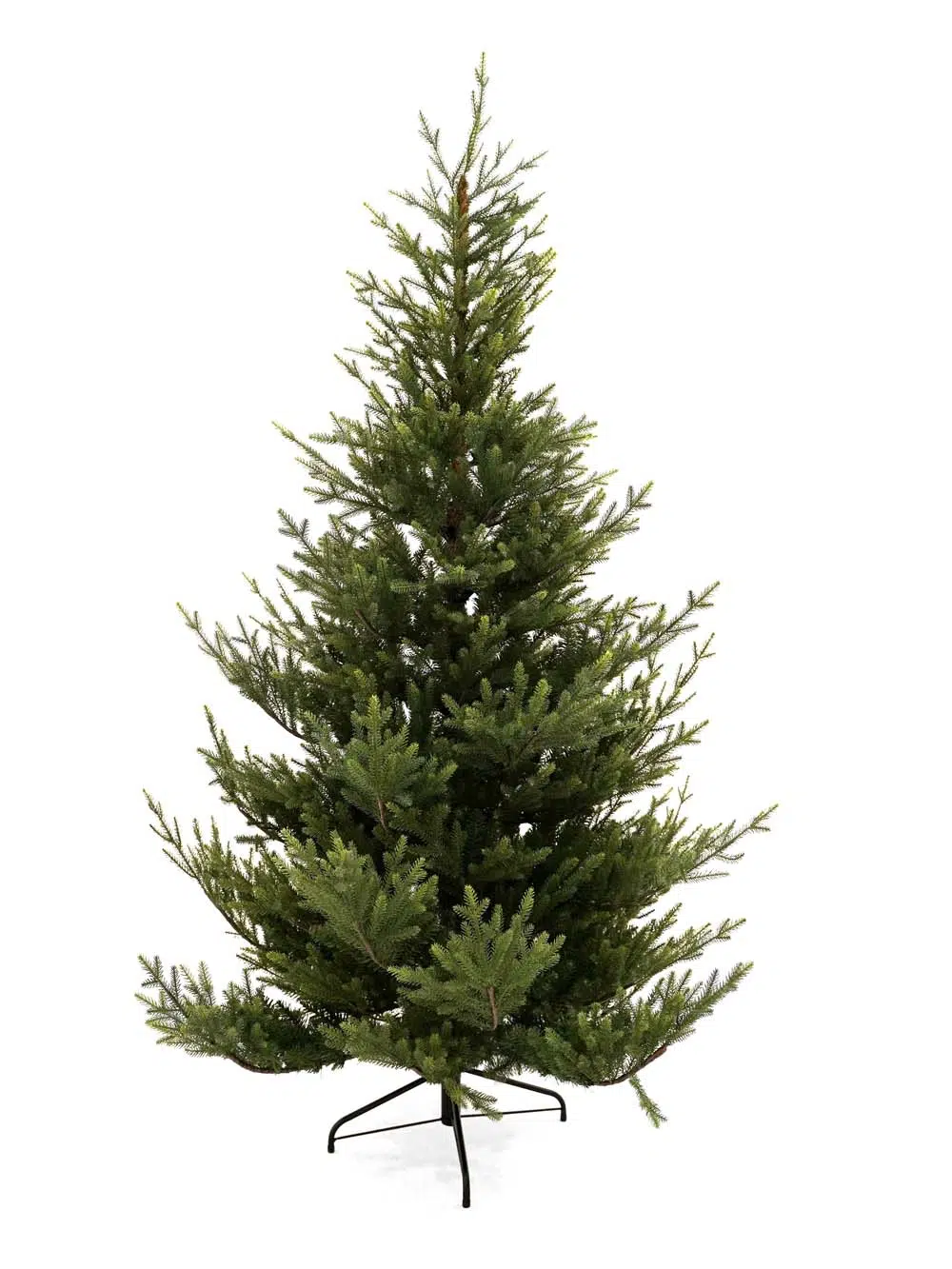 SN14017-_Green-Spruce-Tree-2.1m_event_prop_hire_EPH_Creative_024-copy-_optimised